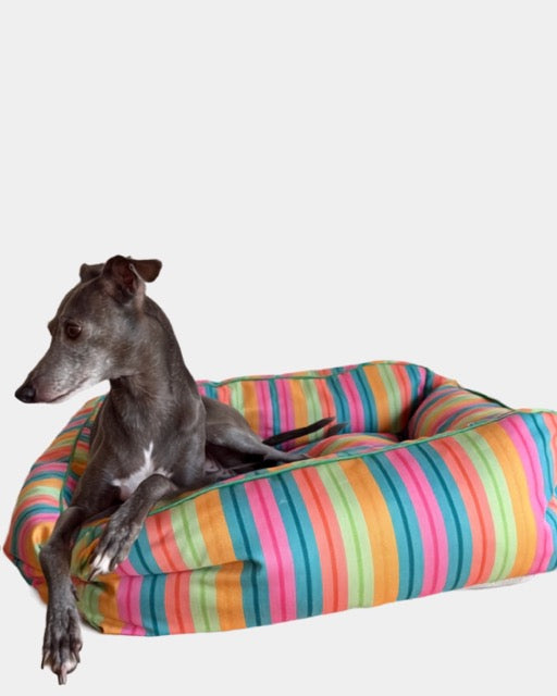 Cama confort lineas